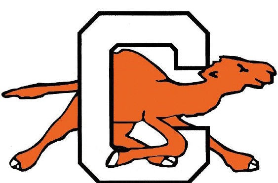 Campbell Fighting Camels 1993-2004 Alternate Logo diy DTF decal sticker